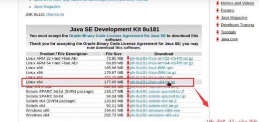 Linux系统中如何安装JDK