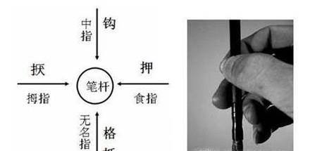 24小时内学会毛笔字
