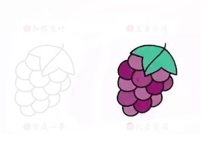 水果简笔画