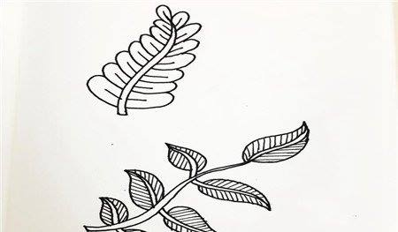 树叶简笔画