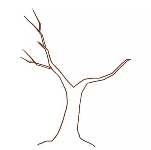 多妈简笔画植物一株秋天的树