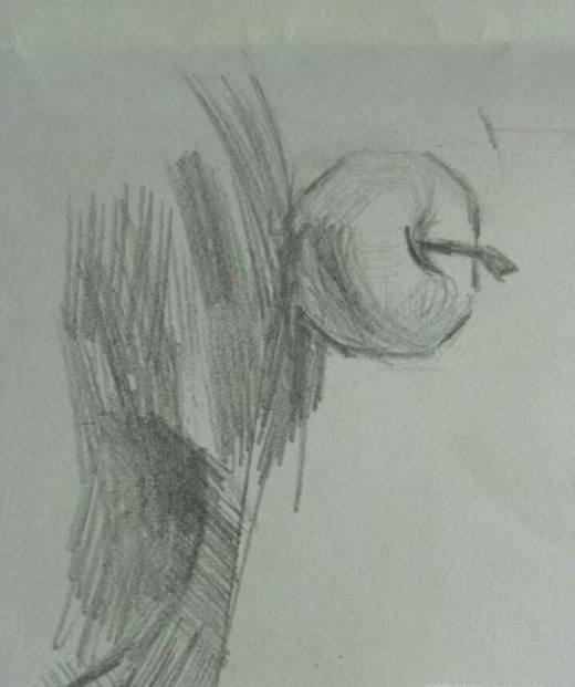 素描入门最基础教学