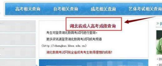 怎么查成人高考成绩
