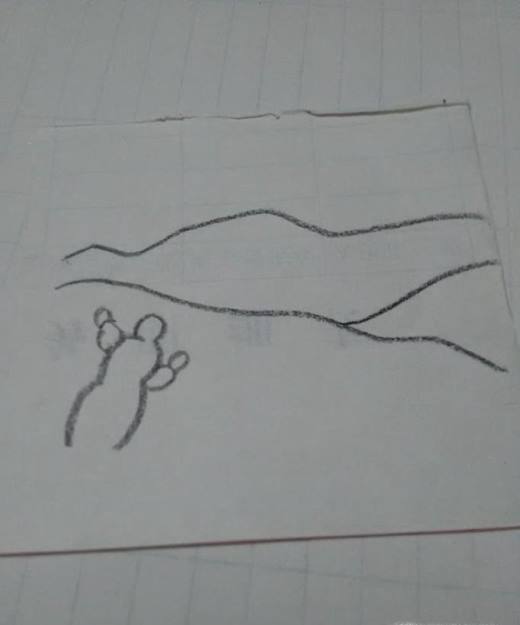 简笔画沙漠的画法