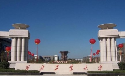 美术生可以考什么大学