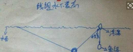 钓鲢鳙怎么调漂
