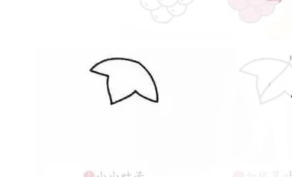 水果简笔画