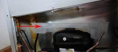 冰箱后面散发出臭味 储水盒里的污水原因