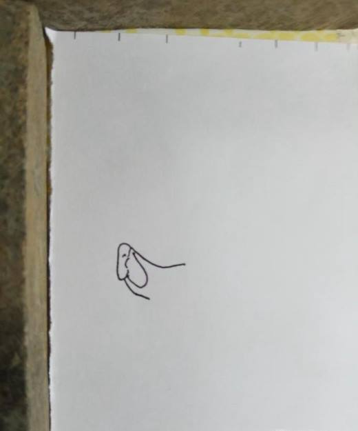 怎样画简笔画戴口罩?