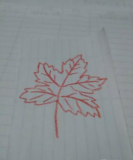 怎样简单画枫叶