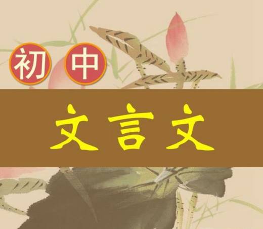 中学生应该如何学好文言文