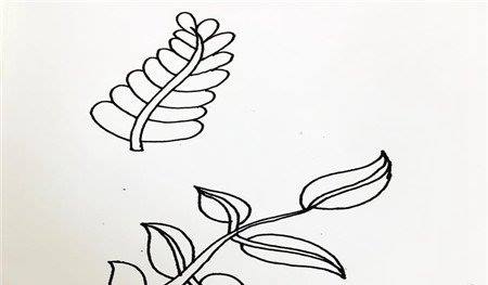 树叶简笔画
