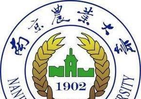 211和985大学的意思和区别