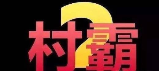 中央为什么要打击村霸