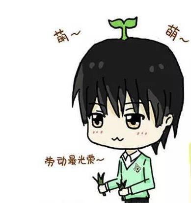 生活委员竞选