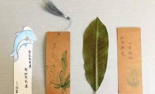 怎么用卡纸做工艺品