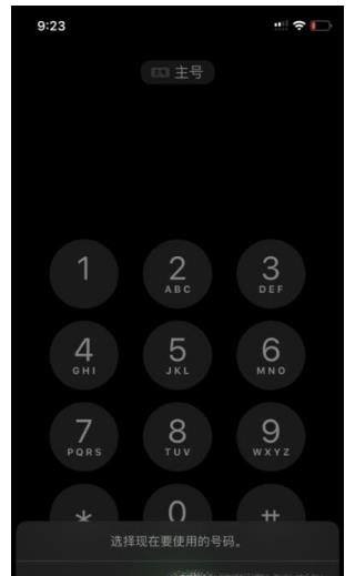 iPhone 11的双卡双待功能如何设置？