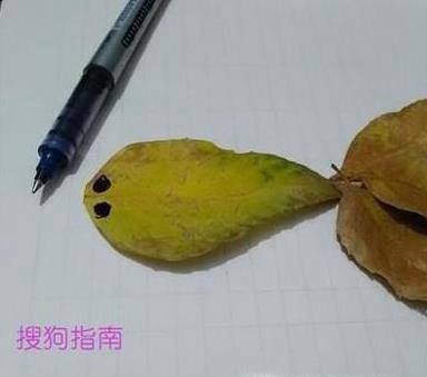 树叶贴画的制作！