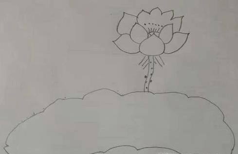 如何画荷花简笔画