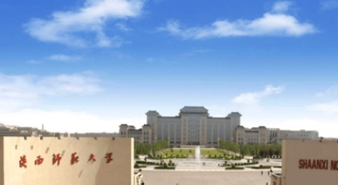 美术生可以考什么大学