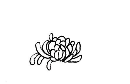 菊花简笔画
