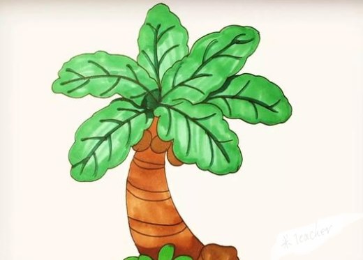 椰子树简笔画