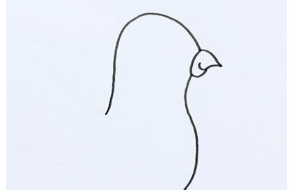 和平鸽简笔画