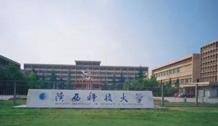 美术生可以考什么大学