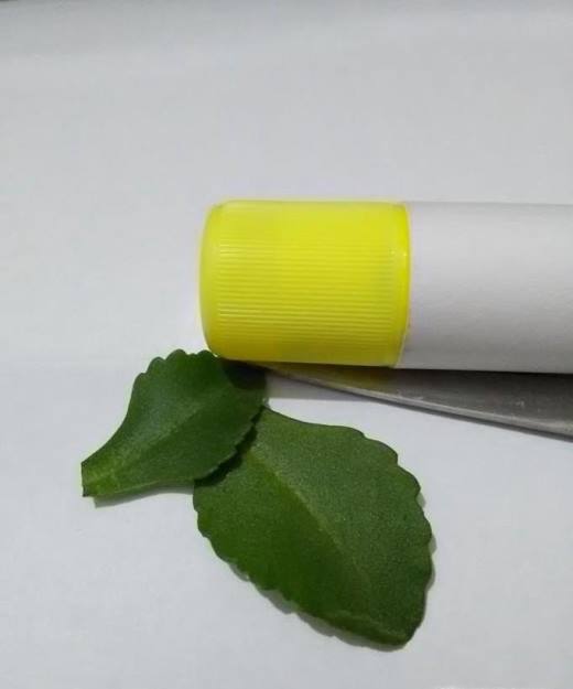 如何制作幼儿树叶趣味粘贴画