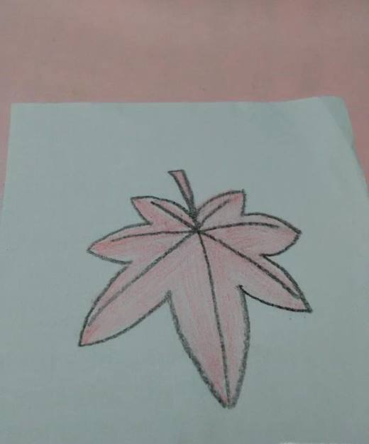 怎么画枫叶简笔画