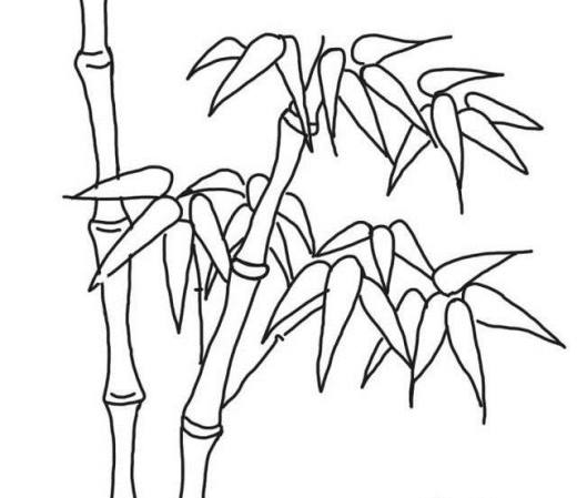 怎样画漂亮竹子