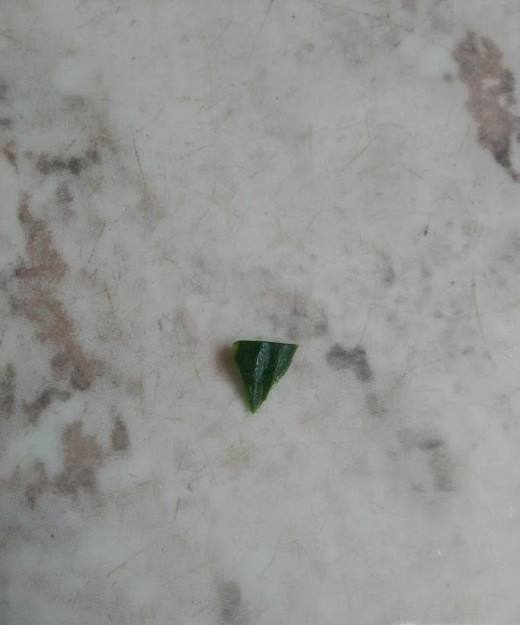 怎样用蔬菜跟水果来作画?