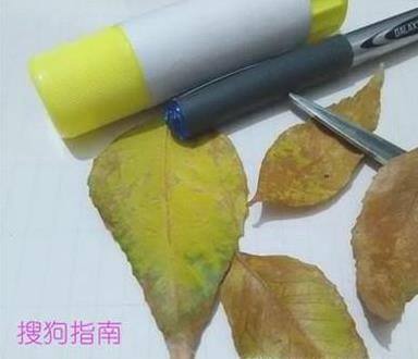 树叶贴画的制作！