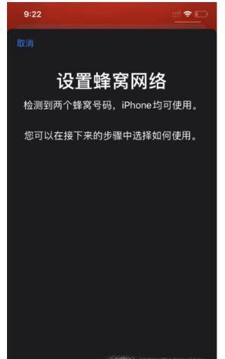 iPhone 11的双卡双待功能如何设置？