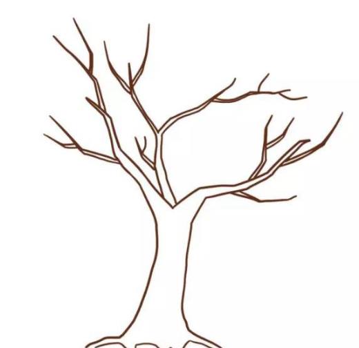 多妈简笔画植物一株秋天的树