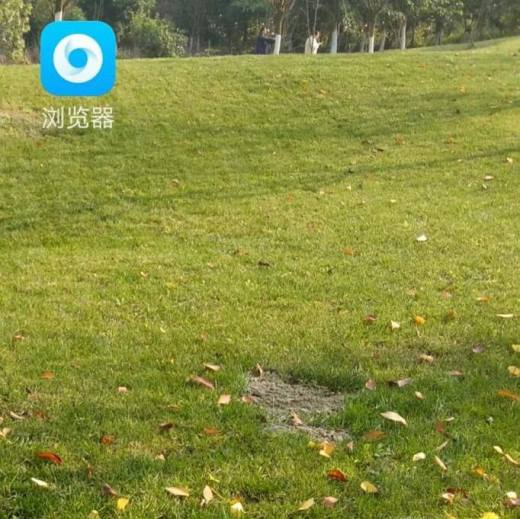 浏览器收藏夹不小心删除了怎么找回？