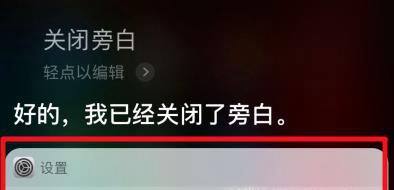 苹果ios12怎么打开 关闭旁白模式