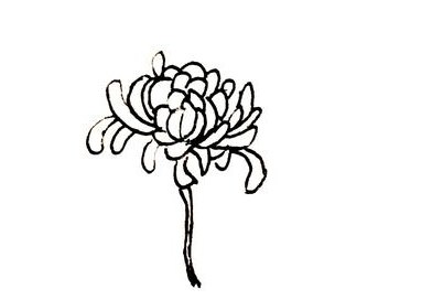 菊花简笔画
