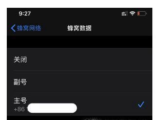 iPhone 11的双卡双待功能如何设置？