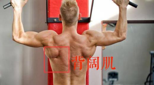 引体向上技巧.短期内快速提高3 5个的技巧