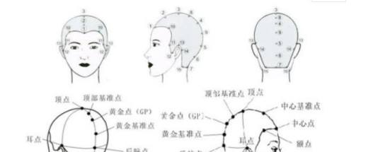 初学理发入门技巧