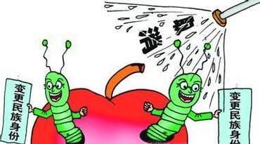 为什么很多人反对少数民族加分政策