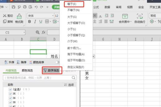 如何在excel中快速的进行筛选