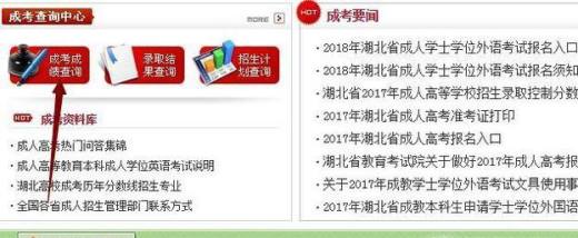 怎么查成人高考成绩
