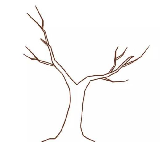 多妈简笔画植物一株秋天的树