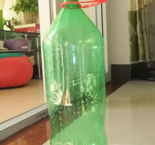 废旧塑料瓶做花瓶、笔筒