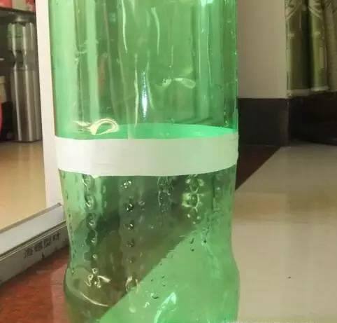 废旧塑料瓶做花瓶、笔筒