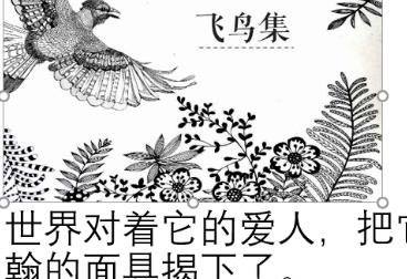 在ppt中如何用文字环绕图片