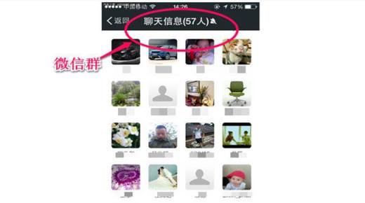 微信群在哪里找