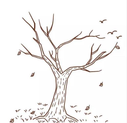 多妈简笔画植物一株秋天的树